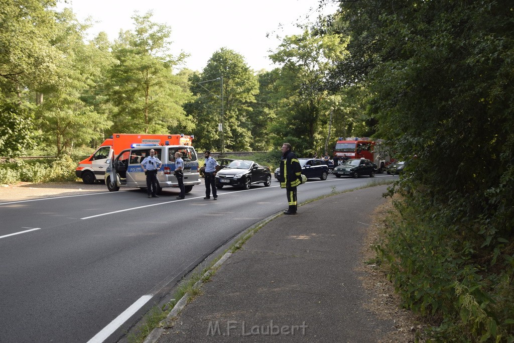 Waldbrand Koeln Hoehenhaus Hoehenfelder Mauspfad P009.JPG - Miklos Laubert